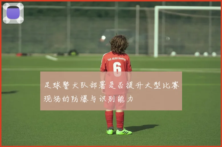 足球警犬队部署是否提升大型比赛现场的防爆与识别能力