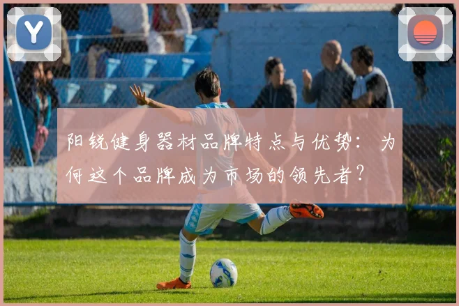 阳锐健身器材品牌特点与优势：为何这个品牌成为市场的领先者？
