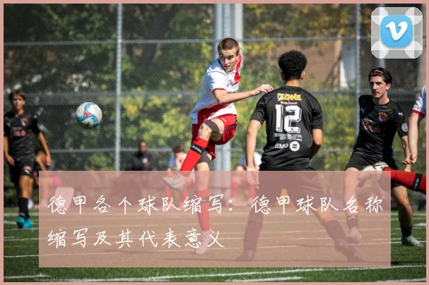 德甲各个球队缩写:德甲球队名称缩写及其代表意义