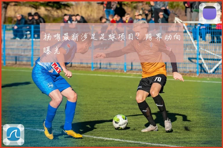 杨鸣最新涉足足球项目？跨界动向曝光