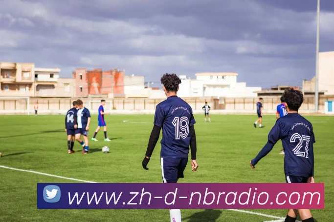 纬来体育平台生态图